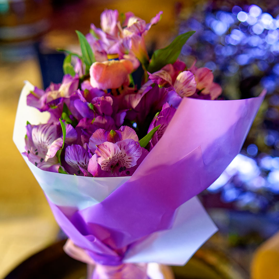 Photo 46 from Igor Maric's photography collection