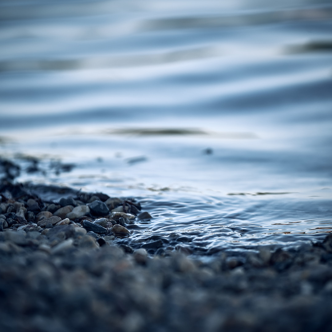 Photo 39 from Igor Maric's photography collection