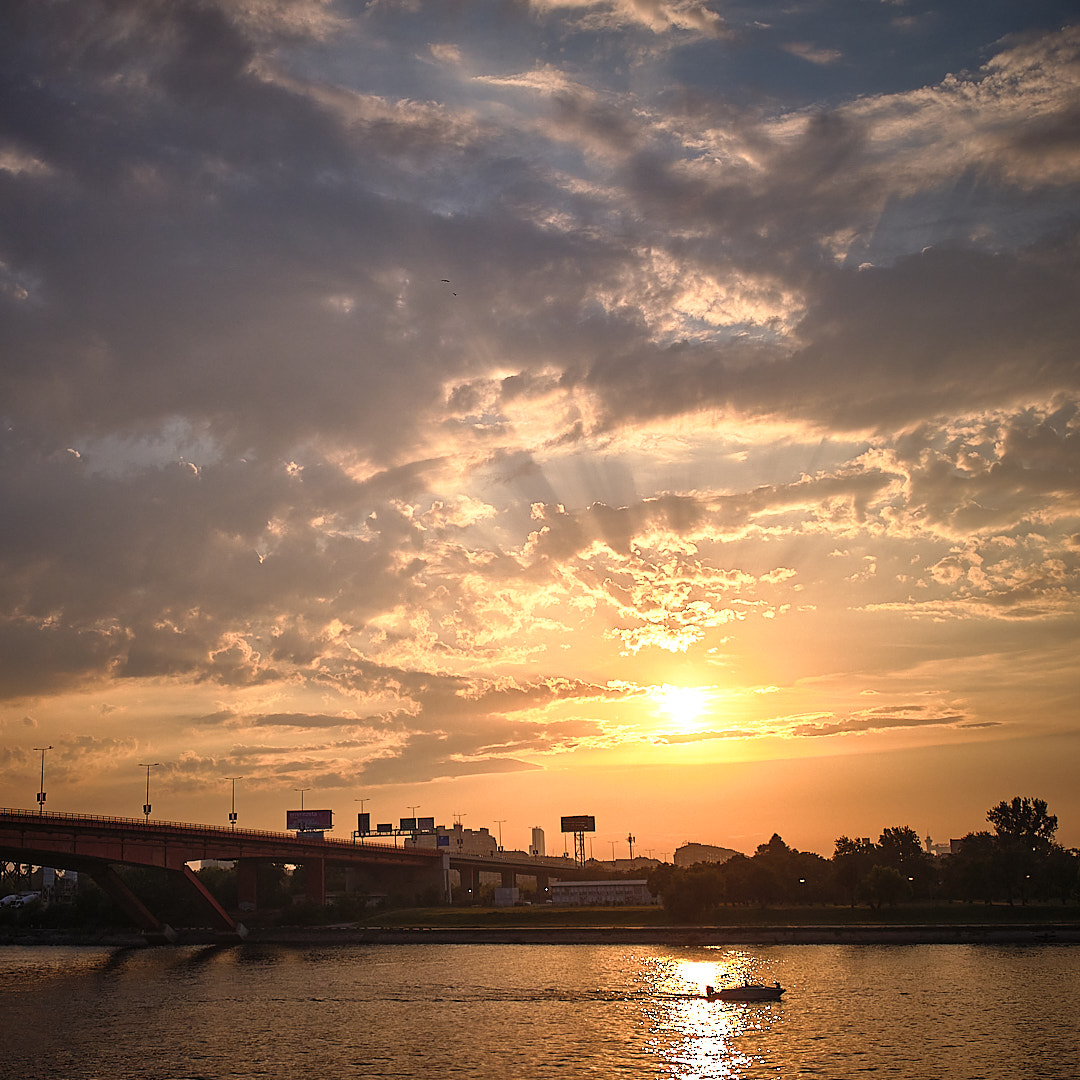 Photo 37 from Igor Maric's photography collection