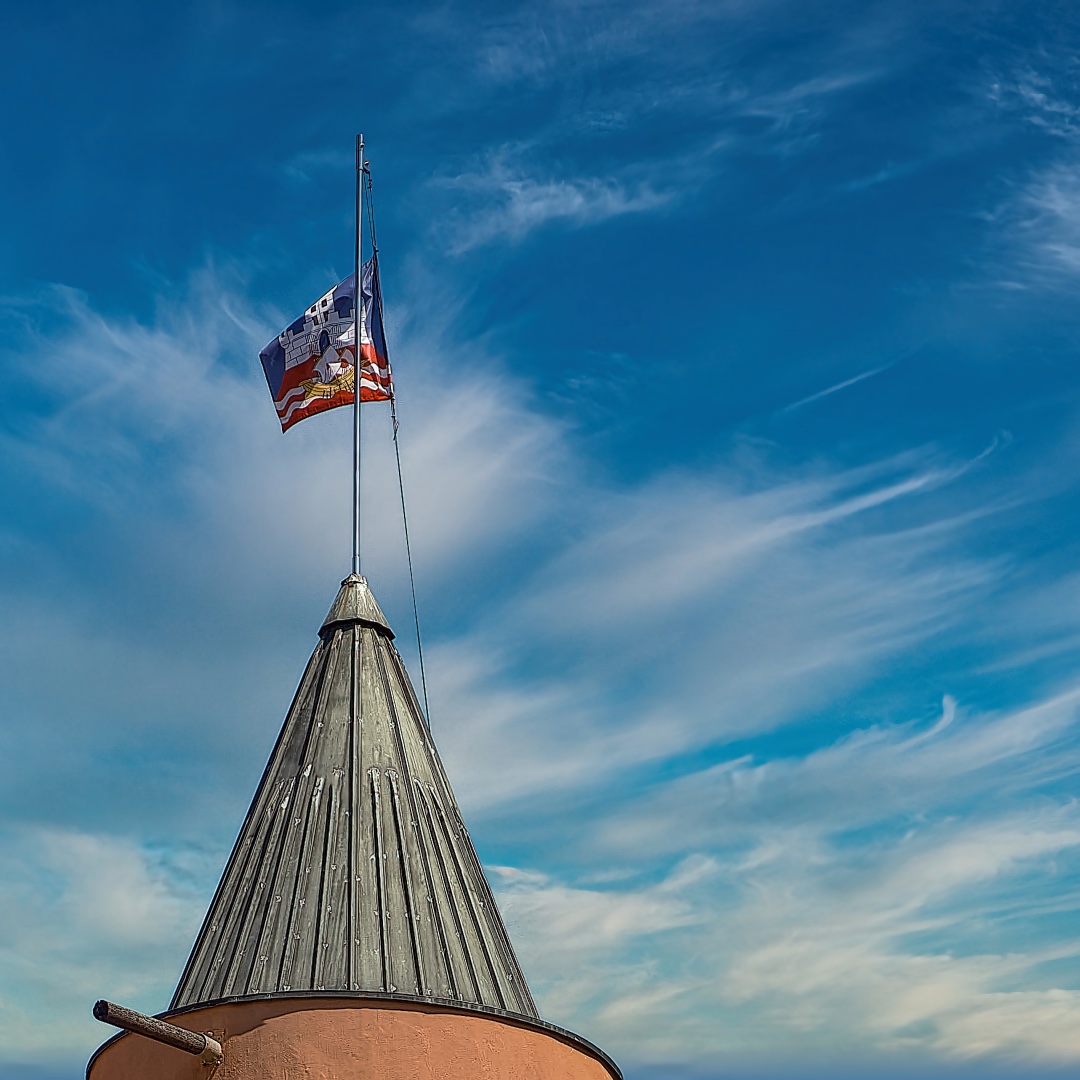 Photo 19 from Igor Maric's photography collection