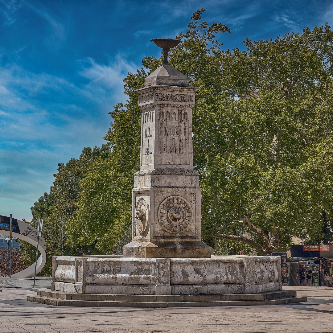 Photo 15 from Igor Maric's photography collection