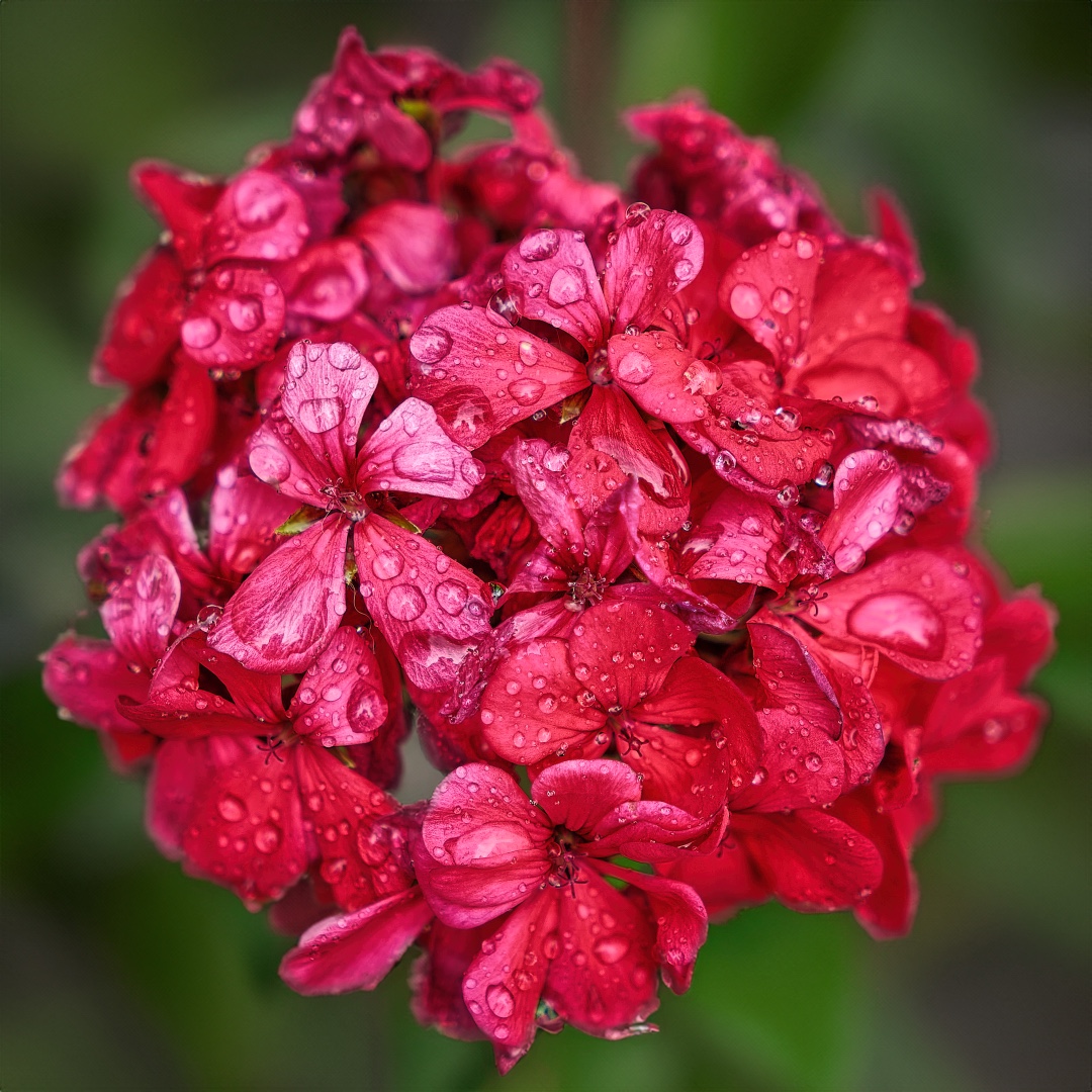 Photo 11 from Igor Maric's photography collection